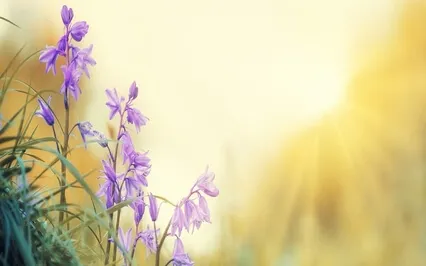 Clearing Limitations With Angel Ariel