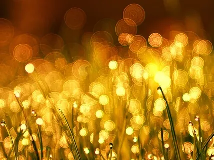 Clearing Meditation For Letting Go