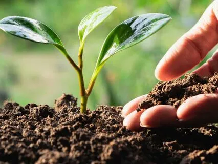 Clearing Money Blocks