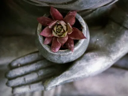 Clearing Negative/Trauma Energy From The Body