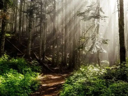 Clearing Numbness And Spiritual Confusion