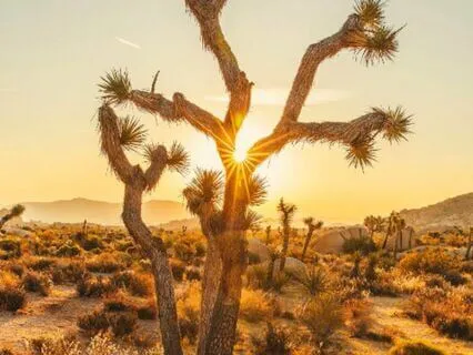 Clearing Grief & Sadness