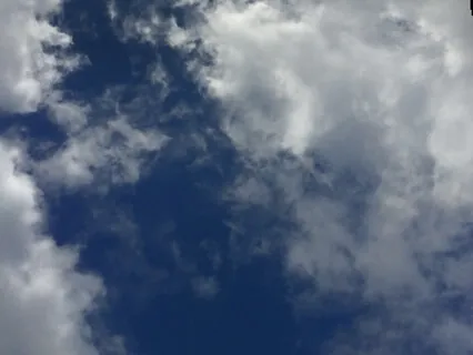 Put Fear, Shame Or Guilt In Its Place 