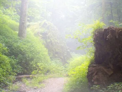 Clearing Space To Receive