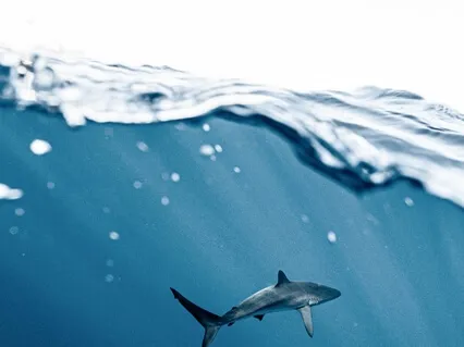 Clearing The Chakras (432Hz)