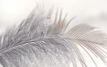 Clearing The Energetic Structures Of Your Business