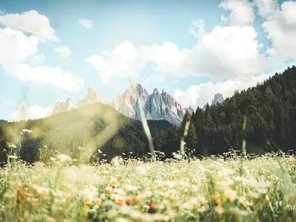 Clearing The Energy Systems Of The Body With Light Language