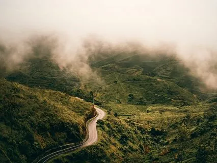 Clearing The Fog: Finding Insight Within