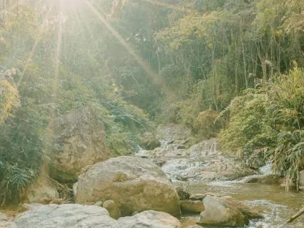 Clearing The Fog: Return To Clarity