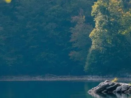 Clearing The Lens- Guided Yoga Nidra