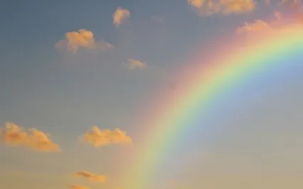 Clearing The Lower Chakras