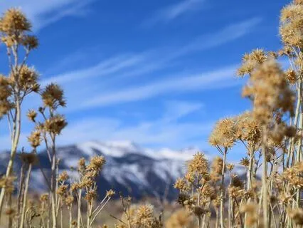 Clearing The Mind Meditation: Remove Negative Thoughts