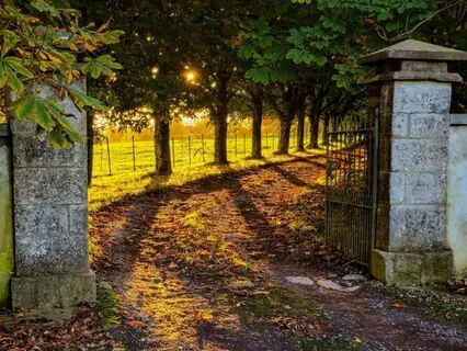 Clearing The Records As We Close The Book