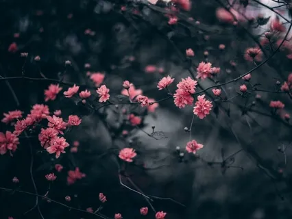 Clearing The Records