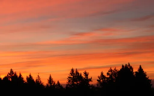 Clearing Your Energy