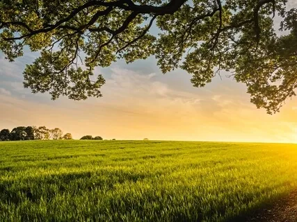 Clearing Your Mind A Contemplative Exercise