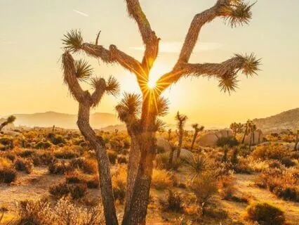 Clearing Yourself Of Other People's Energy