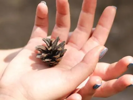 Climate Anxiety & Grief: Grounding Meditation For Overwhelm