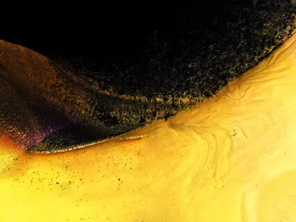 Climate Anxiety:  Talk With Bridge Initiative Founder