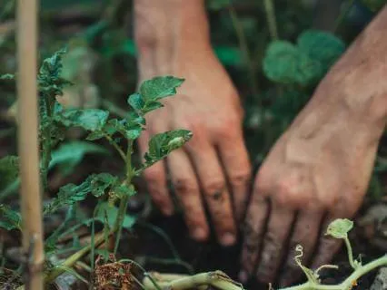 Climate Anxiety - You Are Not Alone