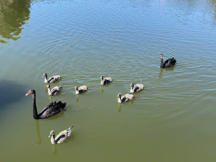 Climate Change & Healing The Inner Child