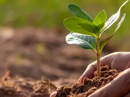 Climbing The Mountain Within & Embracing Your Path