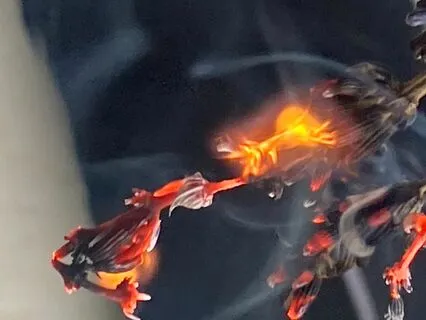 Close The Eyes And Listen