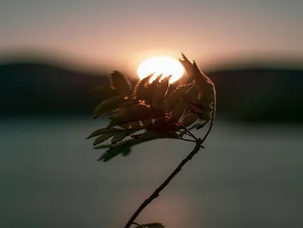 Close The Week With Clarity