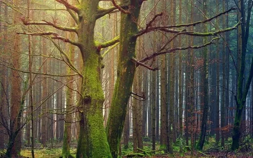 Close Your Eyes And Breathe: Zen Drones 
