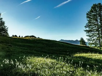 Close Your Eyes - Love With Nature