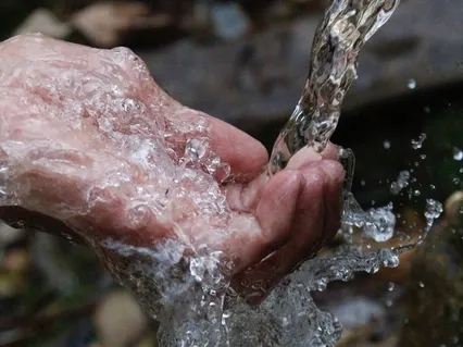 Closed Fist Or Open Hand - Poem By Danna Faulds