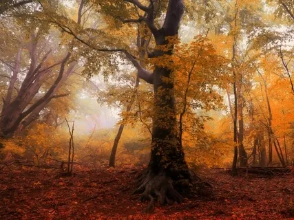 Closer To Silence (10 Min)