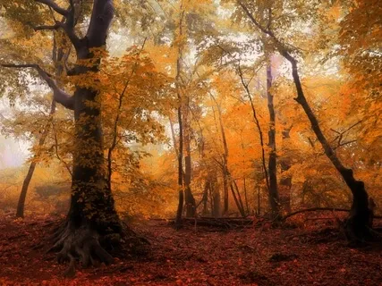 Closer To Silence (20 Min)