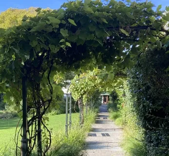 Closure & Completion Meditation