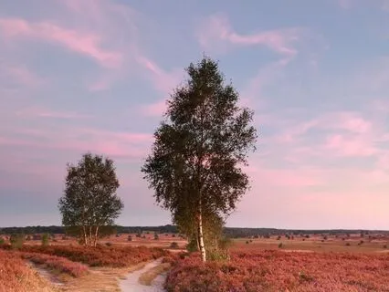 Cloud 9 Solfeggio Frequencies