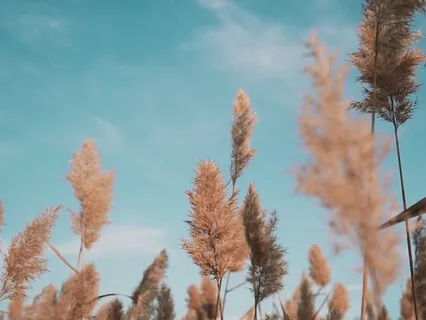 Watch Your Thoughts Like Clouds