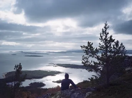 Cloudberry Near The Lake