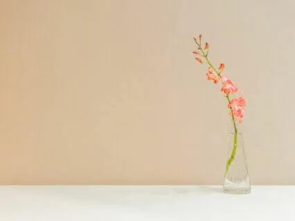 Clutter-free Mind & Space: The Art Of Letting Go (W/ Music)