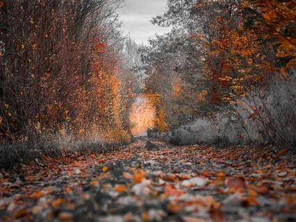 Clutter Starts In Our Minds.  