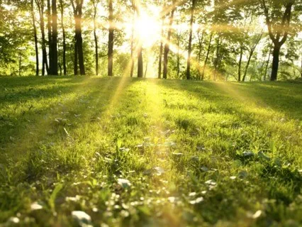 5 Minute Gratitude Break