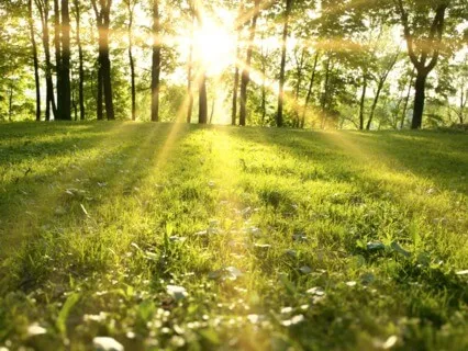 Discussion On Gratitude