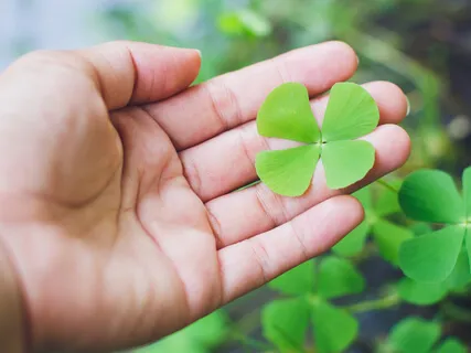 CMP Introduction To Empathetic Joy Discussion