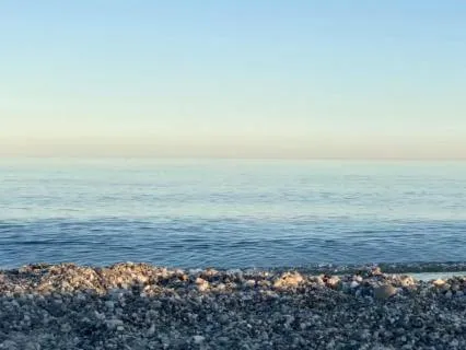 CMR -Compassionate Movement Meditation Practice- 10 Minutes