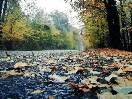 CMR - Rain - 10 Minutes