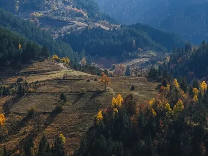 Cнятие Напряжения и Тревоги. Внутренний Ребенок