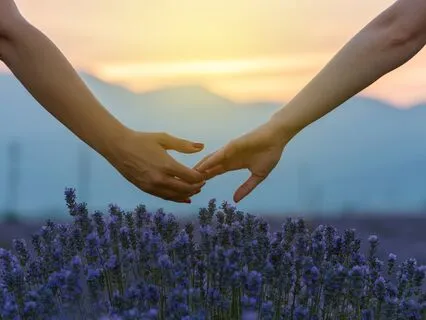 Co-Creating Abundance With Your Higher Consciousness