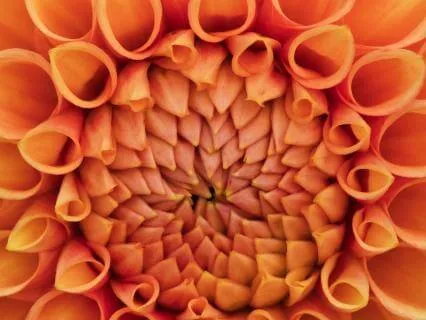 Co-Creating Coherence: A Collective Grounding And Blessing