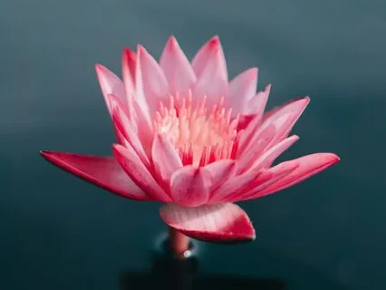 Co-Creating With The Soul Of Your Business