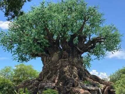 Co-Creating With The Universe Prayer