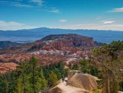 Co-Creating With The Universe